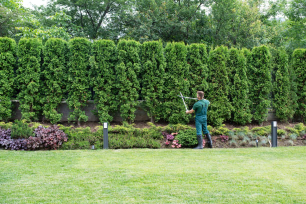 Best Tree Mulching Services  in Austin, AR